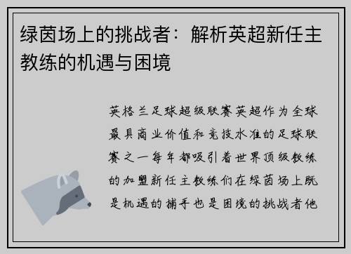 绿茵场上的挑战者：解析英超新任主教练的机遇与困境