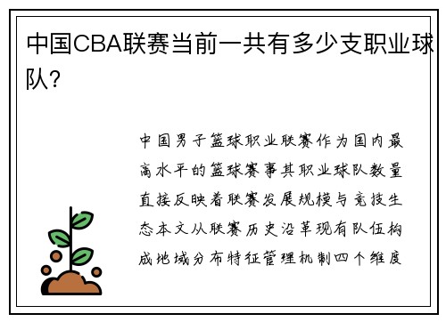 中国CBA联赛当前一共有多少支职业球队？