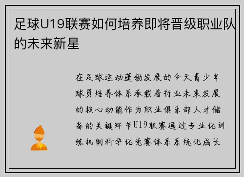 足球U19联赛如何培养即将晋级职业队的未来新星