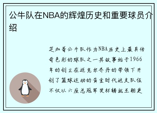 公牛队在NBA的辉煌历史和重要球员介绍