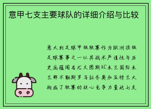 意甲七支主要球队的详细介绍与比较